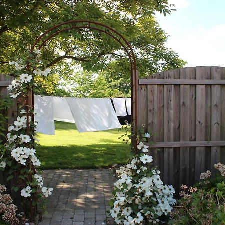 Safine B&B Fåborg Zewnętrze zdjęcie
